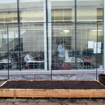 2015 Dig-in