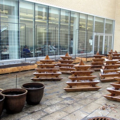 2015 Dig-in