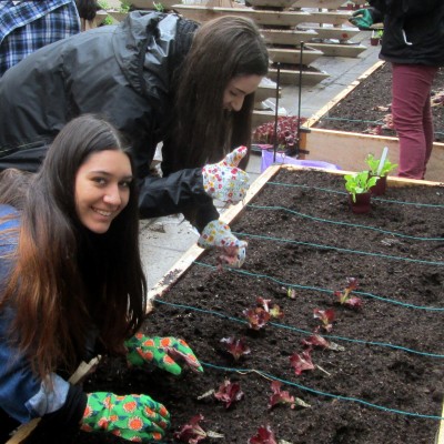 2015 Dig-in