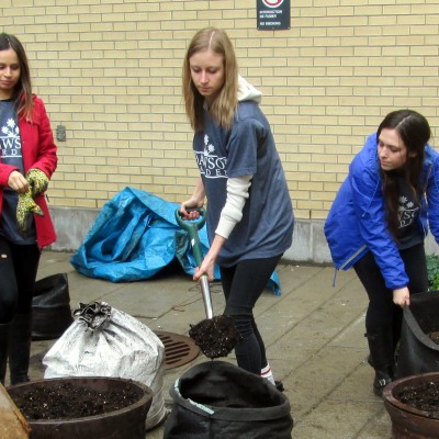2015 Dig-in