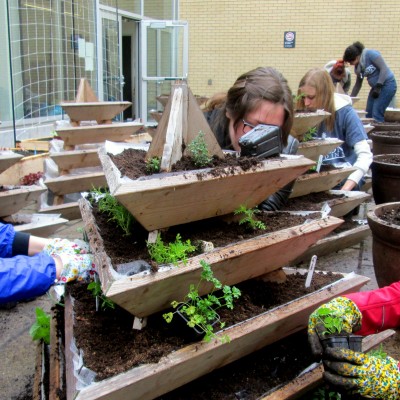 2015 Dig-in