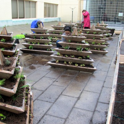 2015 Dig-in