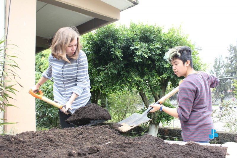 Sustainable Campuses: The âSustainable Campuses: Sharing our knowledge for Social and Environmental Sustainabilityâ is a partnership initiative between Dawson College and Mexican universities aimed at generating and sharing knowledge on campus sustainability. An important part of this initiative has been the generation of Dawson student internship in Mexican Campuses. The Sustainable Campuses Internships provide an opportunity for Dawson Students in the fields of Environmental Science and Environmental Studies to share their knowledge and experience on campus sustainability with students in our partner institutions in Mexico. The internships are an important opportunity to gain hand on experience on the design, execution, and management of campus sustainability projects on the ground in a cross-cultural context.